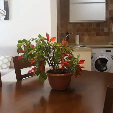 Prázdninový dům Magico Toledo